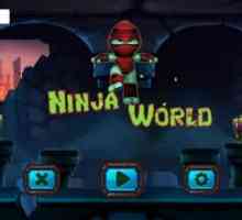 Ninja world in turtles