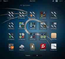 Огляд kali linux