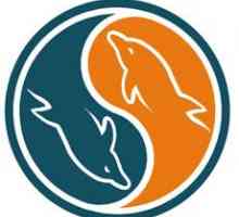 Оптимізація запитів до mysql