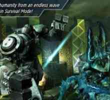 Pacific rim