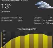 Palmary weather