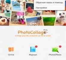 Photo collage