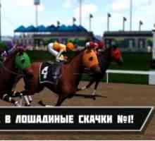 Photo finish: horse racing