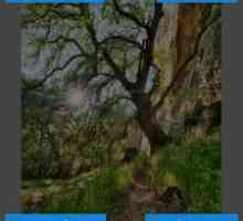 Photoshop