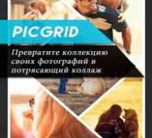 Picgrid