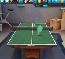 Ping pong masters