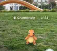 Pokemon go