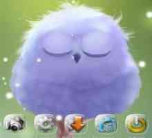 Polar owl