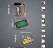 Pool billiards pro
