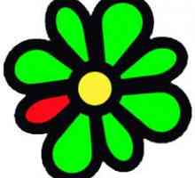 Перевірка статусу icq в html