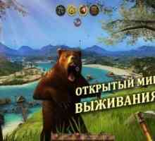 Radiation island