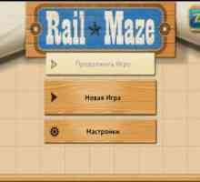 Rail maze