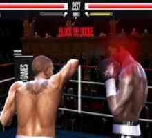 Real boxing