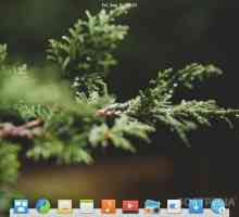Реліз elementary os 0.4 loki