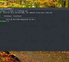 Резервне копіювання mysql бази даних