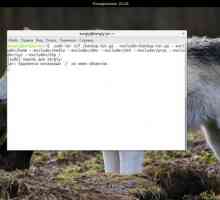 Резервне копіювання ubuntu