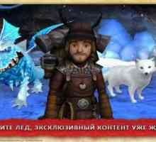 School of dragons