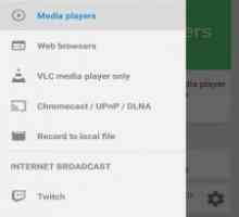 Screen stream mirroring