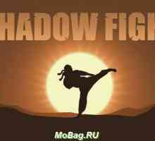 Shadow fight 2 - бій з тінню 2 на андроїд