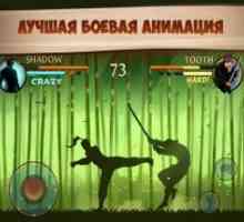 Shadow fight 2
