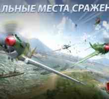 Sky gamblers