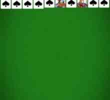 Spider solitaire
