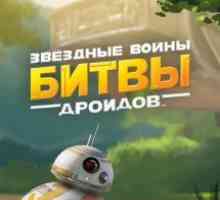 Star wars: puzzle droids
