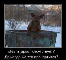Steam_api.dll відсутня