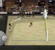 Stickman volleyball