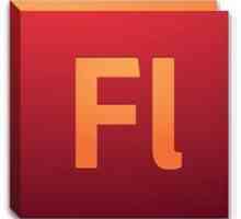 Чи варто використовувати flash при створенні сайту