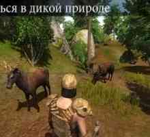 Survival island 2017: savage 2