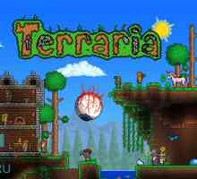 Terraria - повна версія пісочниці на андроїд