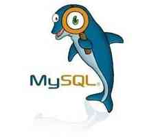 Типи полів в mysql