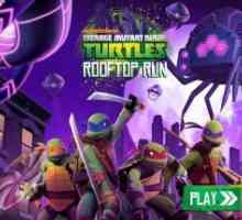 Tmnt rooftop run