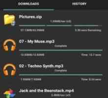 Turbo download manager