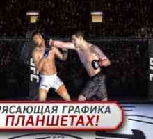Ufc