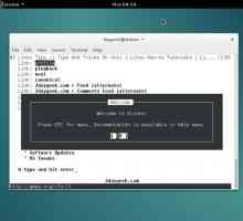 Кращі консольні браузери для linux