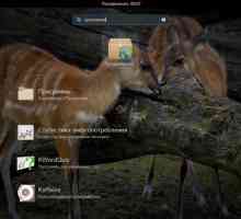 Установка adobe flash player в ubuntu