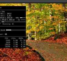 Установка conky ubuntu 16.04
