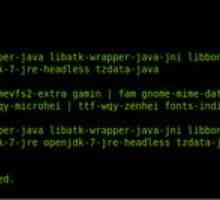 Установка java jre / jdk в ubuntu 16.04