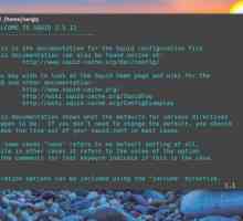 Установка squid в ubuntu 16.04