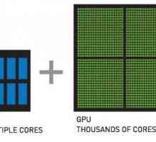 У чому відмінність cpu від gpu