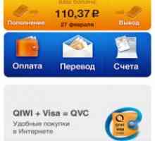 Visa qiwi wallet