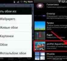 Всі способи установки живих шпалер на андроїд смартфонах і планшетах.