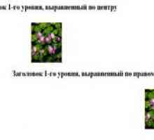 Вирівнювання елементів в html