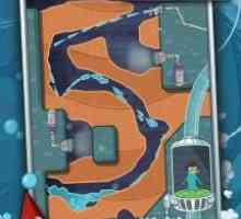 Wheres my perry?