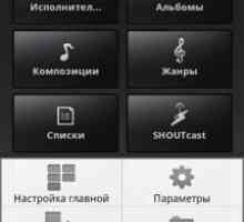 Winamp pro