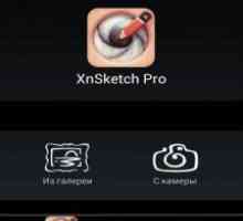 Xnsketch