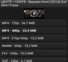 Youtube downloader