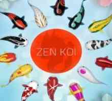 Zen koi